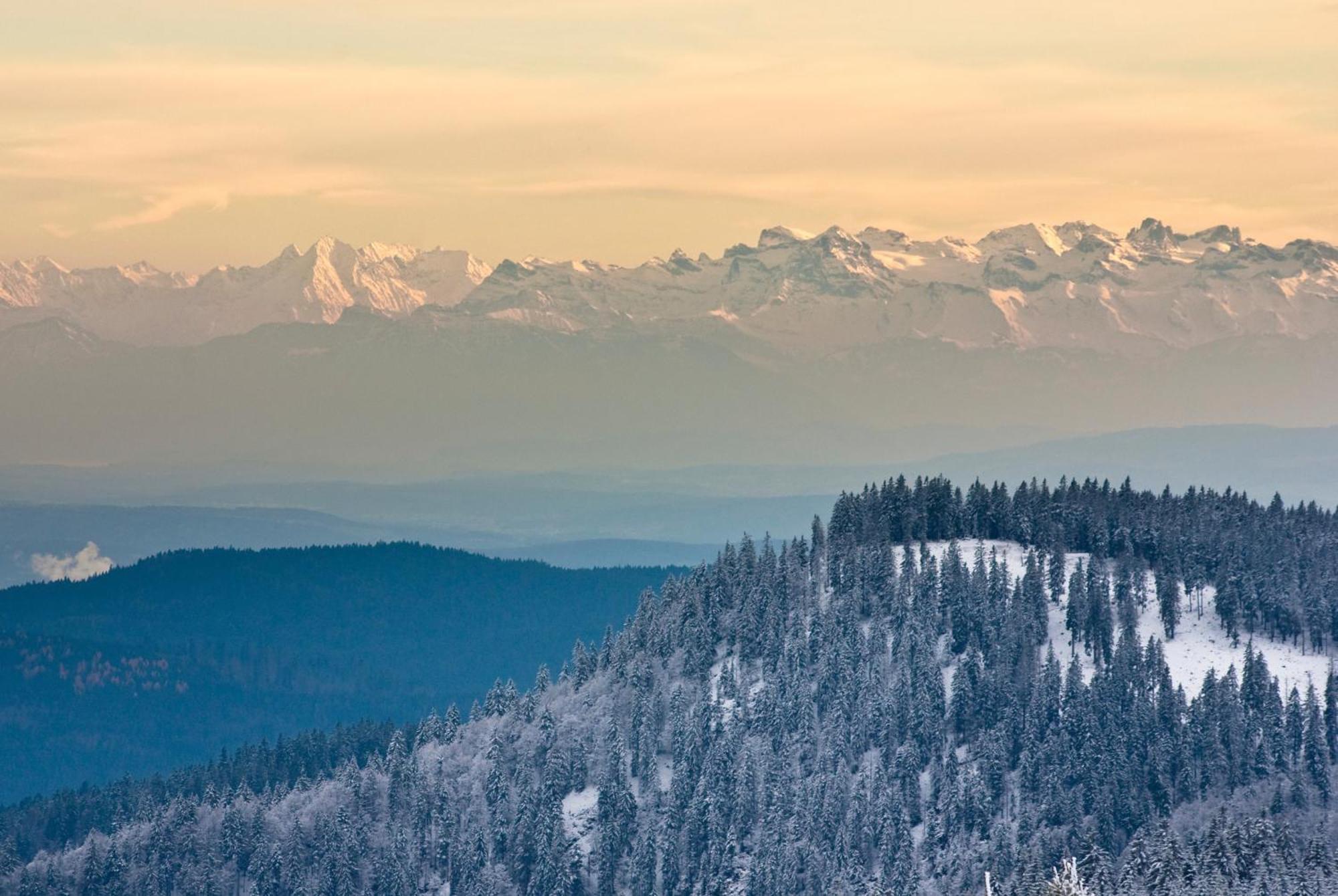RinkenResidenz Grafenmatt "Abendsonne", Feldbergアパートメント エクステリア 写真
