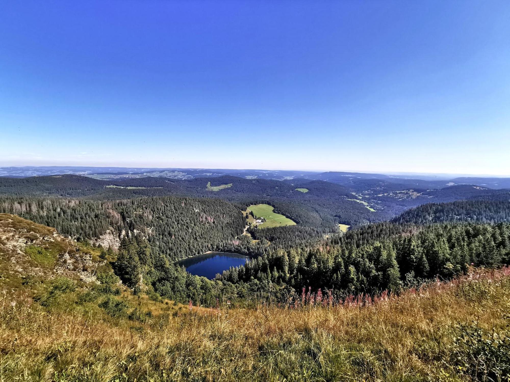 RinkenResidenz Grafenmatt "Abendsonne", Feldbergアパートメント エクステリア 写真